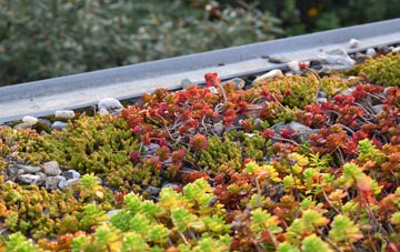 the cost of Craigleith green roof installation