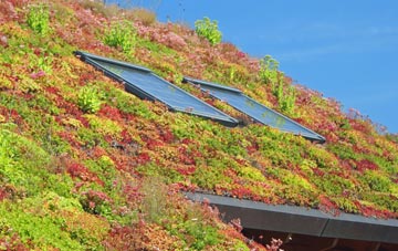 Craigleith living roof systems