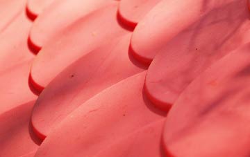 Craigleith plastic roof costs