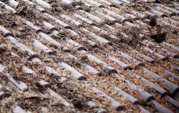 Craigleith roof cleaning companies