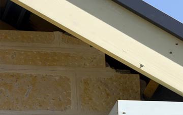 soffit repair Craigleith