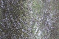 Craigleith fibreglass roof work